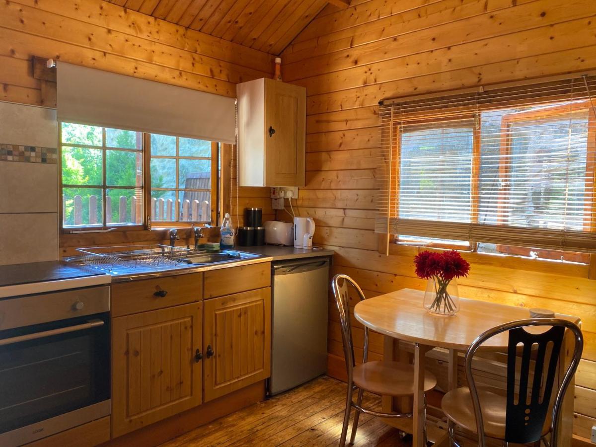 Bryn Dinas Camping Pods At The Foot Of Mt Snowdon Beddgelert Ngoại thất bức ảnh