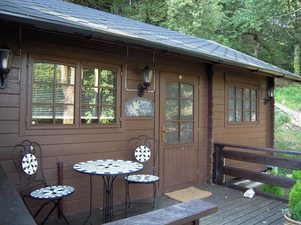Bryn Dinas Camping Pods At The Foot Of Mt Snowdon Beddgelert Ngoại thất bức ảnh
